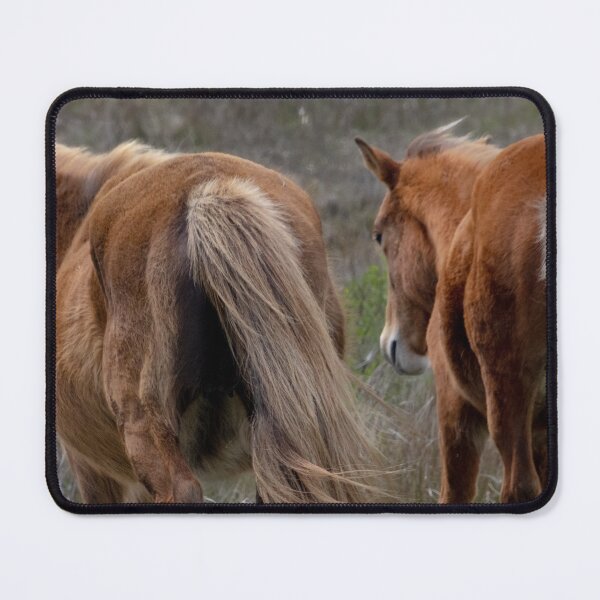 Item preview, Wild Horses Paired Together designed and sold by nbrandsberg.