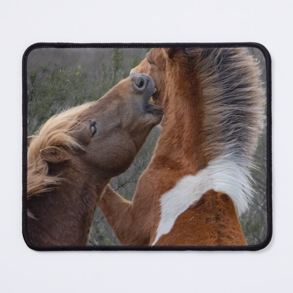Item preview, Nip of the Day Wild Horses Fighting designed and sold by nbrandsberg.
