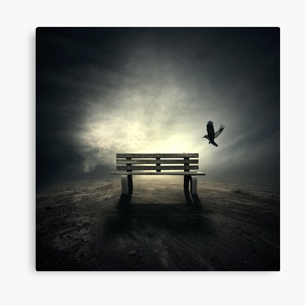 Landing Canvas Print