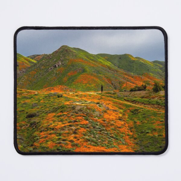 Item preview, Lake Elsinore Poppies designed and sold by nbrandsberg.