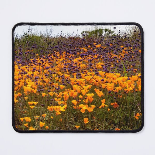 Item preview, California Poppy Field designed and sold by nbrandsberg.