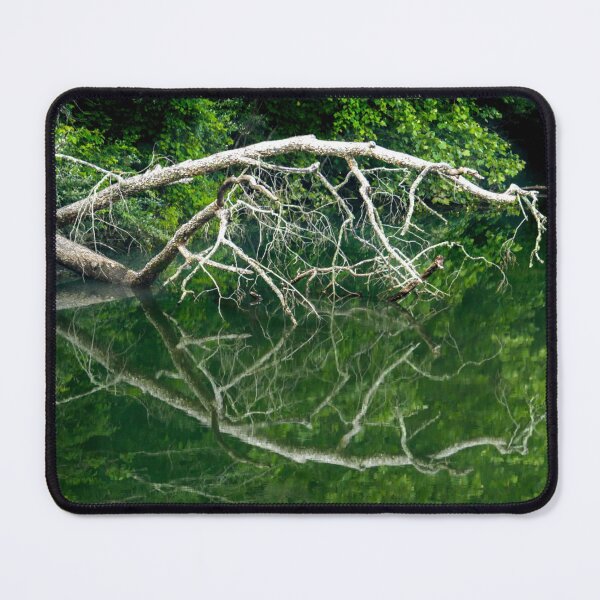 Item preview, Jackson River Branches designed and sold by nbrandsberg.