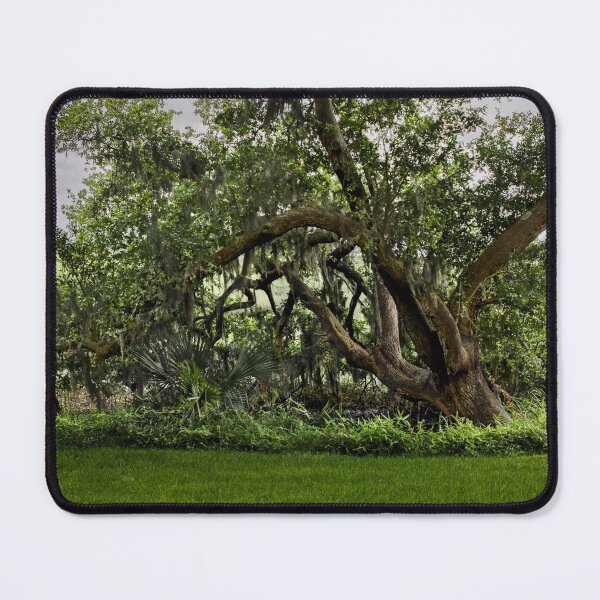 Item preview, Habersham Plantation Tree designed and sold by nbrandsberg.