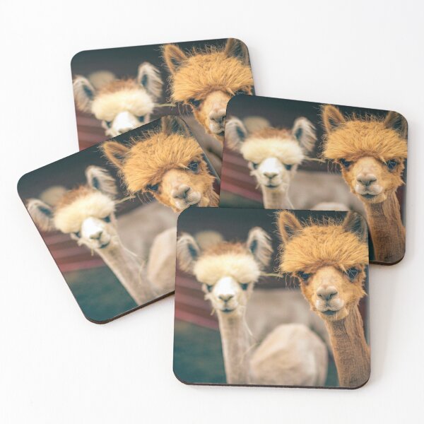 Item preview, Alpaca Has a Question designed and sold by AnnoyedMouse.