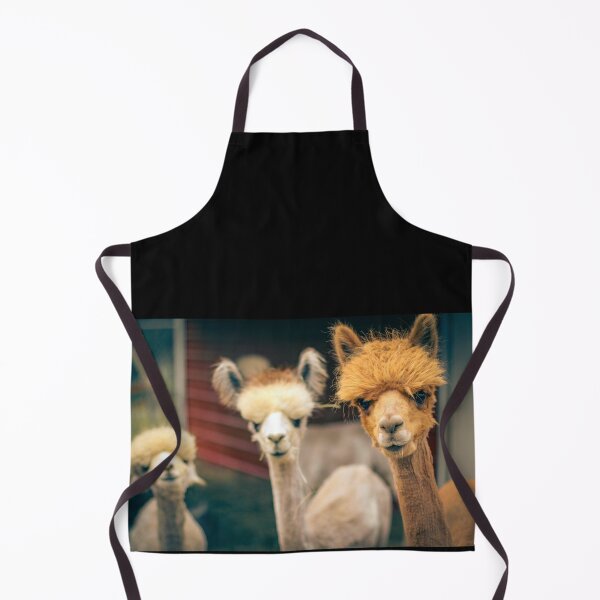 Item preview, Alpaca Has a Question designed and sold by AnnoyedMouse.