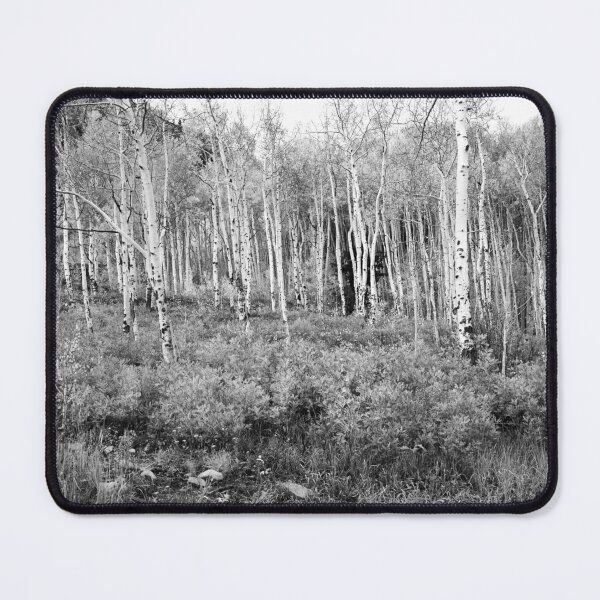 Item preview, Las Dollar Aspens designed and sold by nbrandsberg.