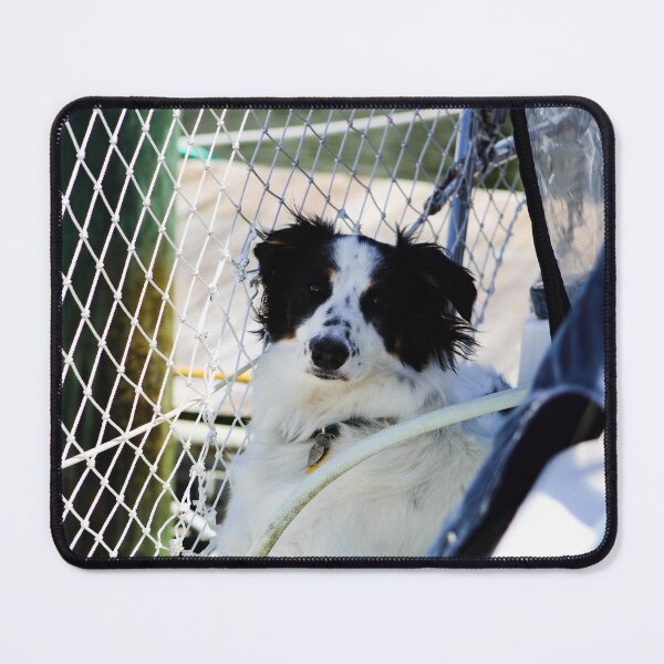 Item preview, Skipper Lying in the Shade designed and sold by banditandkoko.