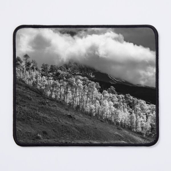 Item preview, Fluorescent Autumn Aspens designed and sold by nbrandsberg.