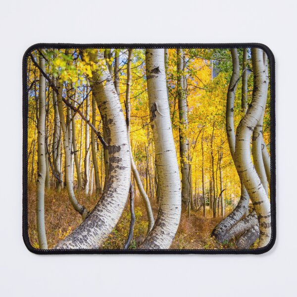 Item preview, Telluride Curved Aspens designed and sold by nbrandsberg.