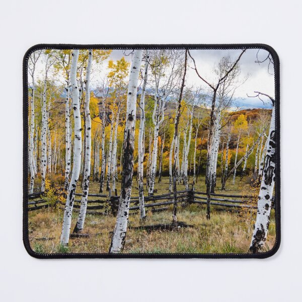 Item preview, Dance of the Aspens designed and sold by nbrandsberg.