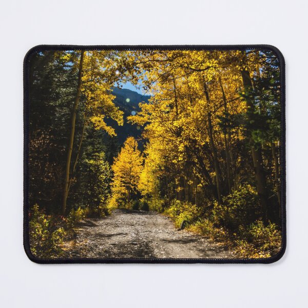 Item preview, Luminous Aspens designed and sold by nbrandsberg.