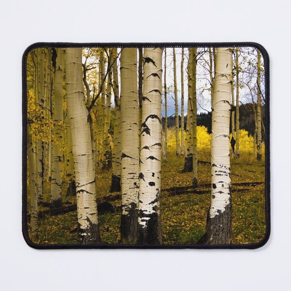 Item preview, Telluride Aspens designed and sold by nbrandsberg.