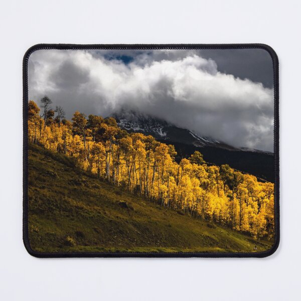 Item preview, Telluride Hillside Aspens designed and sold by nbrandsberg.