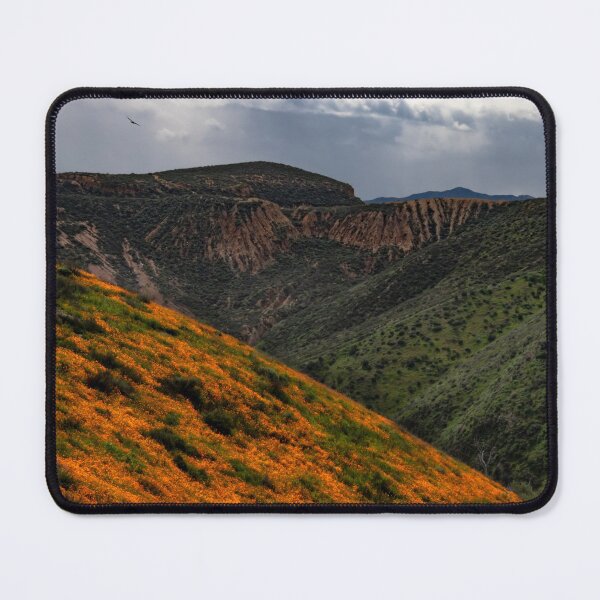 Item preview, Lake Elsinore Poppy Views designed and sold by nbrandsberg.