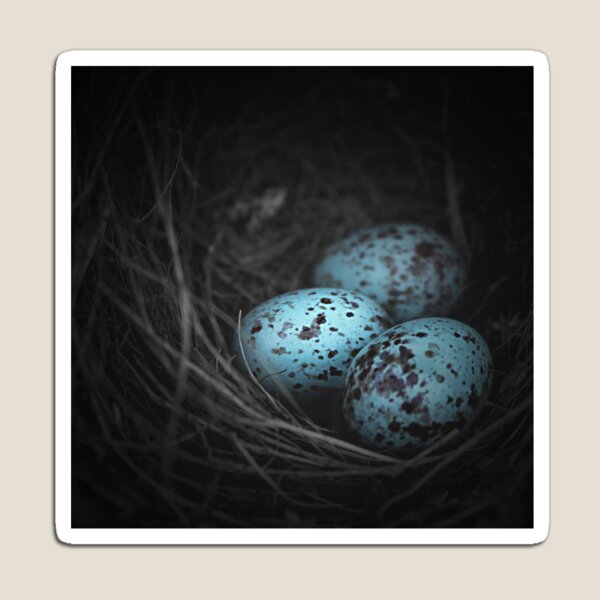 Nest of 3 Magnet