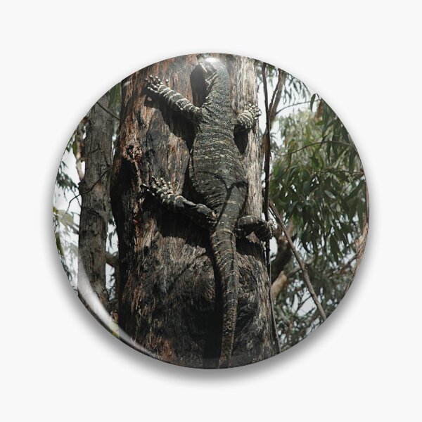 Item preview, Tree Goanna, Springwood, Australia 2006 designed and sold by muz2142.