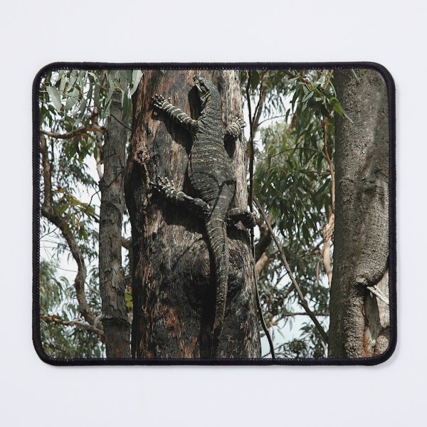 Item preview, Tree Goanna, Springwood, Australia 2006 designed and sold by muz2142.