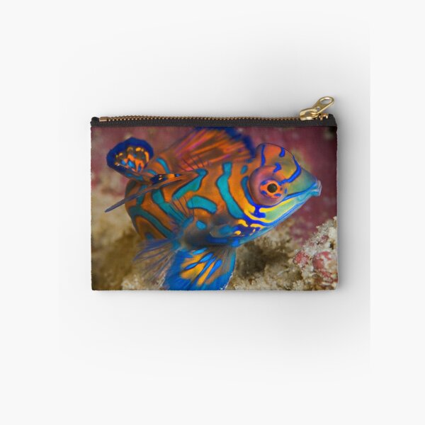 Item preview, One of the most beautyful coloured fish  designed and sold by Gorden.