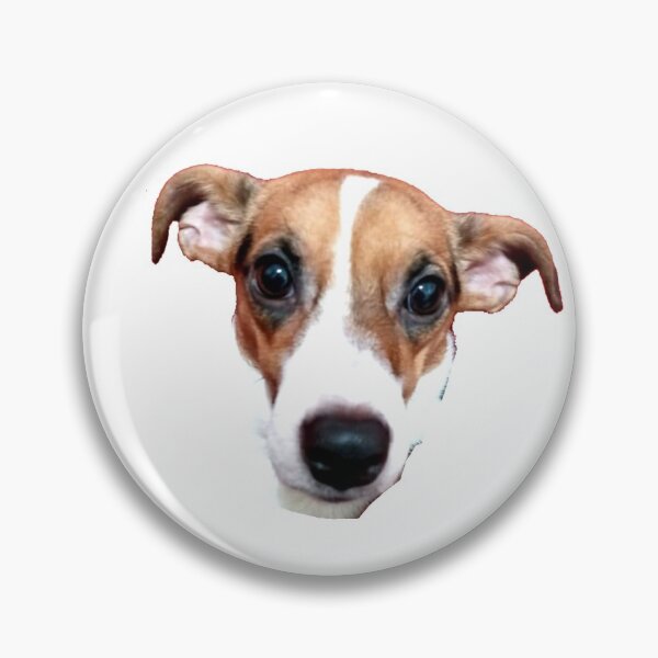Item preview, BEAUTY DOG MOMENT designed and sold by alvaroconven.