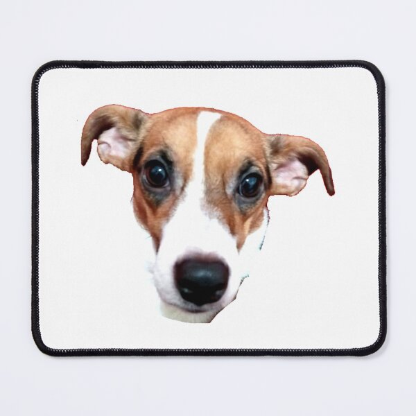 Item preview, BEAUTY DOG MOMENT designed and sold by alvaroconven.