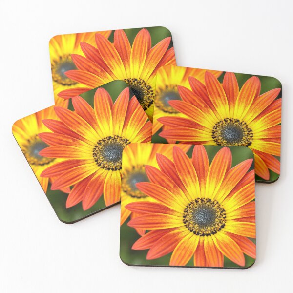 Aperçu de l'œuvre Petal Power créée et vendue par meredithnz.