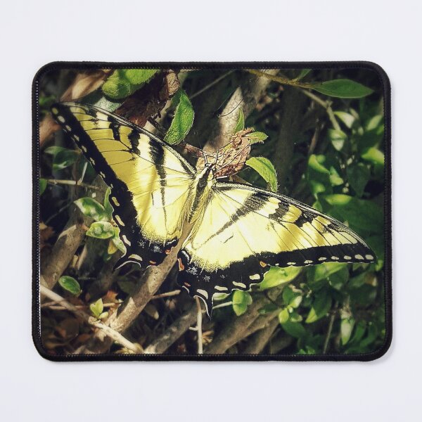 Item preview, Butterfly Garden designed and sold by Jennifer Phipps.