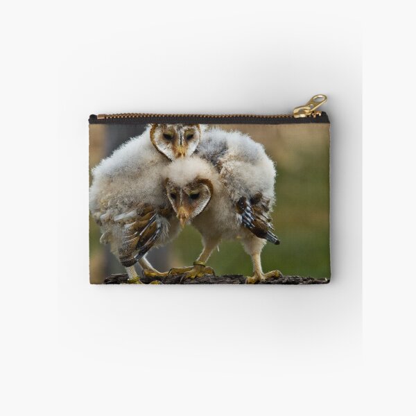 Artikelvorschau, Baby Barn Owls entworfen und verkauft von Sue Ratcliffe.