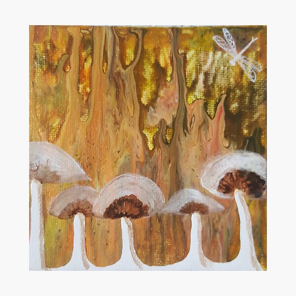 Mushrooms and dragonfly on mini pour Photographic Print