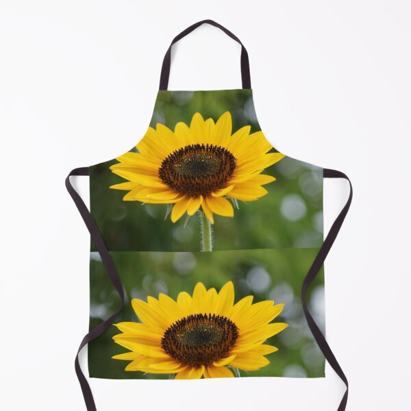Item preview, Soaking it up! Sunflower in perfect bloom, La Mirada, CA USA designed and sold by leih2008.