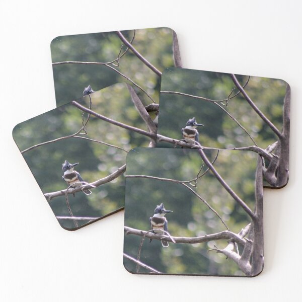 Item preview, BELTED KINGFISHER designed and sold by BOLLA67.