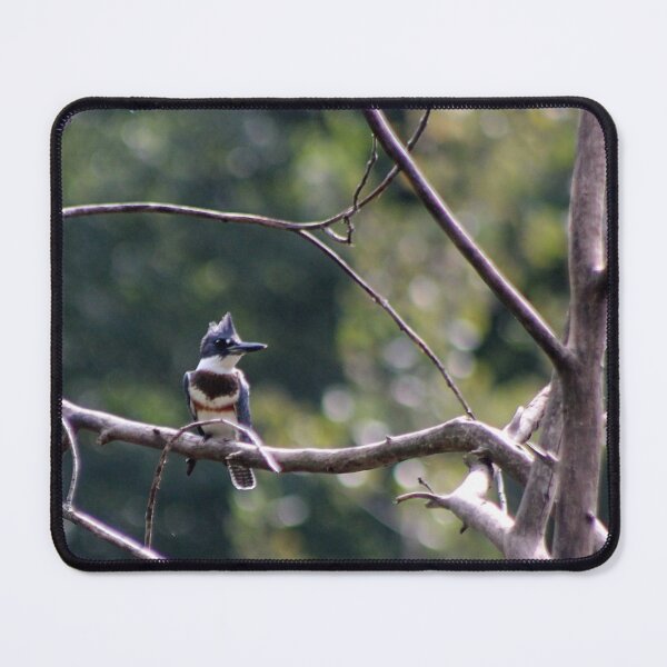 Item preview, BELTED KINGFISHER designed and sold by BOLLA67.