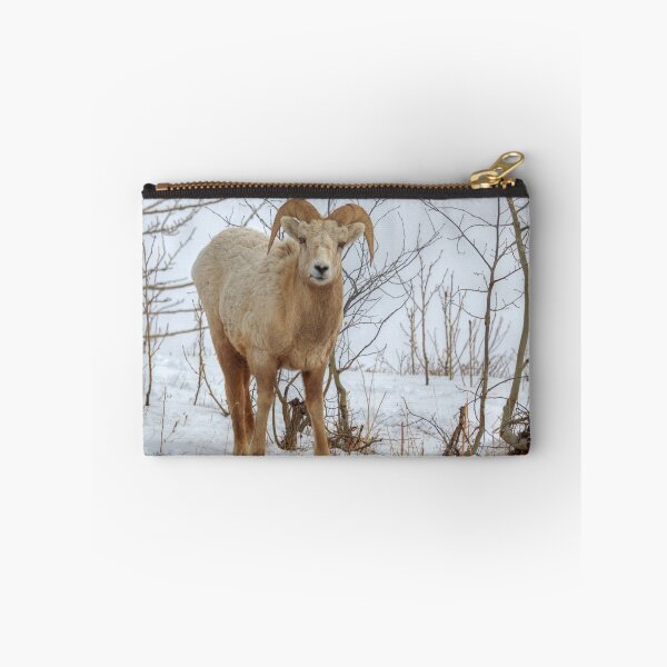 Item preview, Ghost Ram designed and sold by James (820Photography) Anderson.