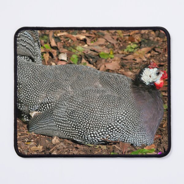 Item preview, Guineafowl bird designed and sold by FranWest.