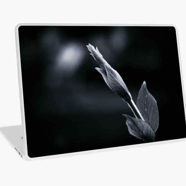 Looking For the Light in a World of Darkness Laptop Skin