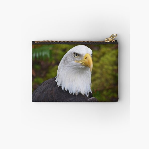 Item preview, Bald Eagle designed and sold by Kathy Yates.