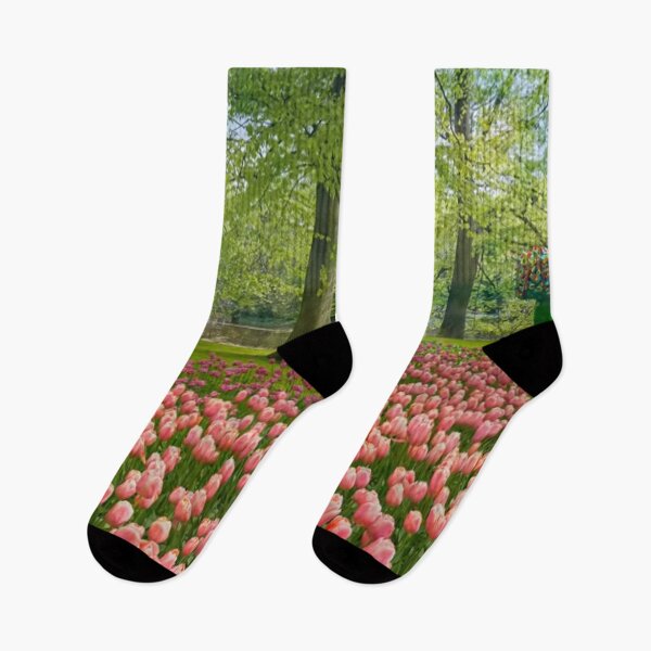Artikelvorschau, Schöner und entspannender europäischer Blumengarten im Frühling mit rosa Tulpen und Bäumen im Hintergrund entworfen und verkauft von LiveToLearn.