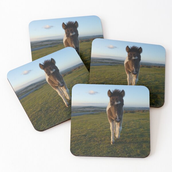 Item preview, Dartmoor Foal designed and sold by rawshutterbug.