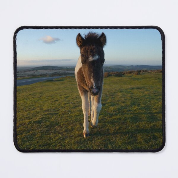 Item preview, Dartmoor Foal designed and sold by rawshutterbug.