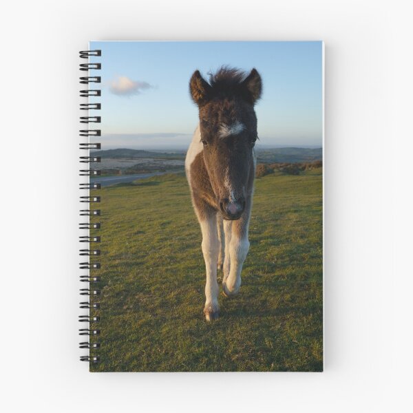 Item preview, Dartmoor Foal designed and sold by rawshutterbug.