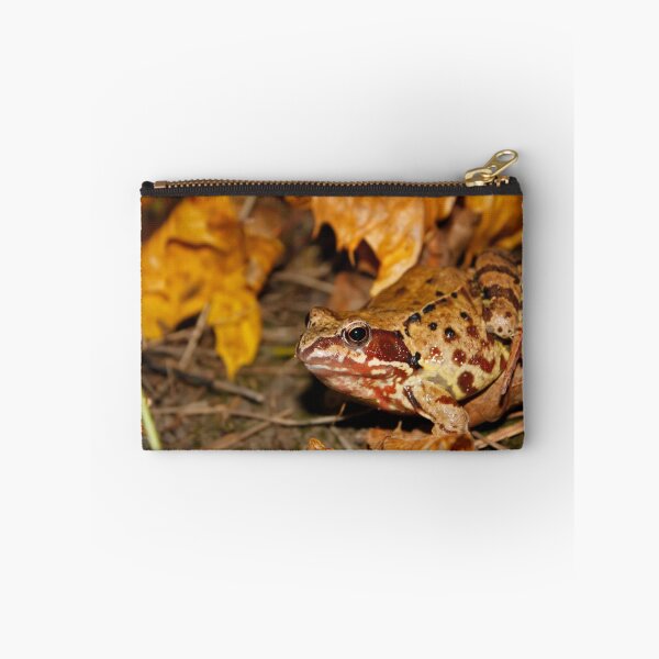 Item preview, Meadows frog in the woods designed and sold by qiiip.