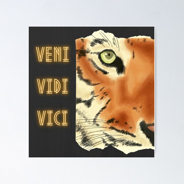 Latin quote Veni, vidi, vici on stone background, 3d