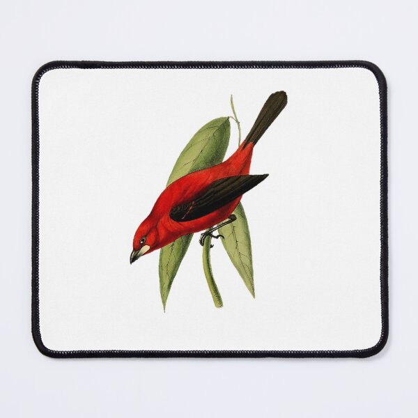 Item preview, Red and Black Bird (Tanager) 1841 designed and sold by BelleZeare.