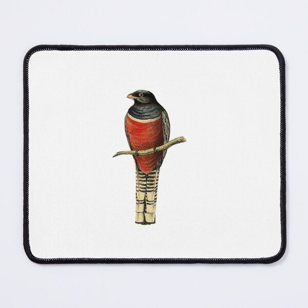 Item preview, Black and Red Bird (Tanager) 1841 designed and sold by BelleZeare.