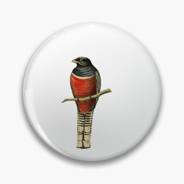 Item preview, Black and Red Bird (Tanager) 1841 designed and sold by BelleZeare.