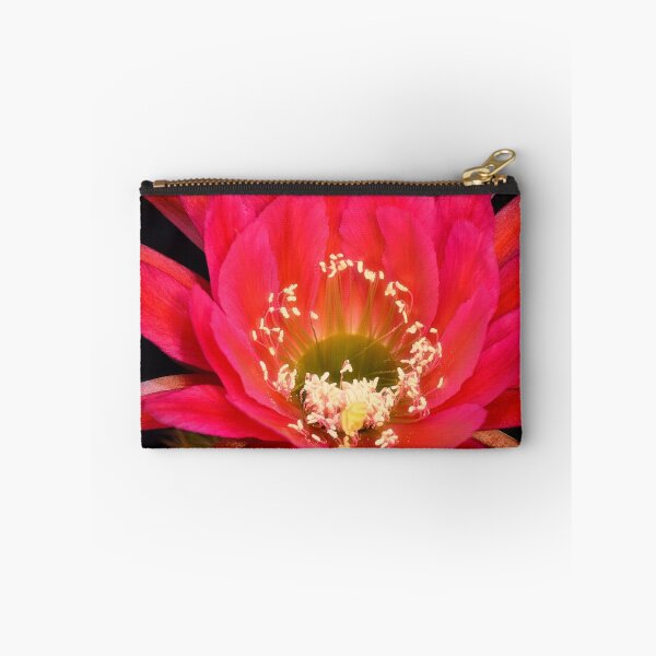 Item preview, Trichocereus Hybrid designed and sold by Saija  Lehtonen.