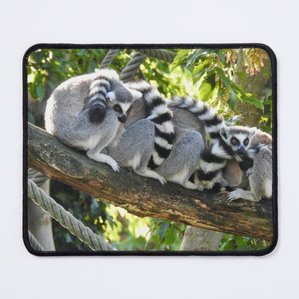 Item preview, A Conspiracy of Lemurs designed and sold by Martina Nicolls.
