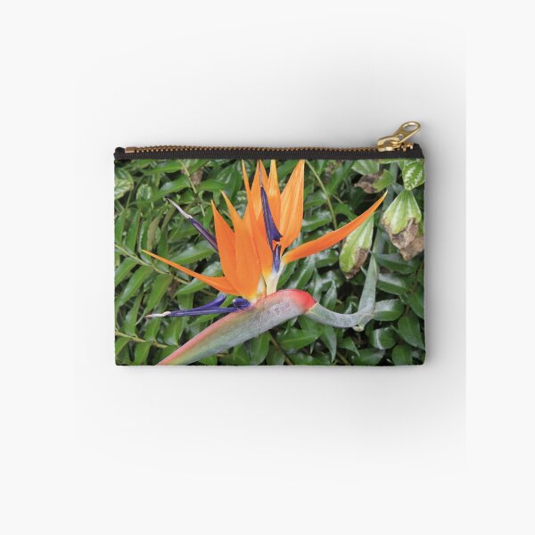 Item preview, Bird of Paradise designed and sold by Thaddeus Zajdowicz.