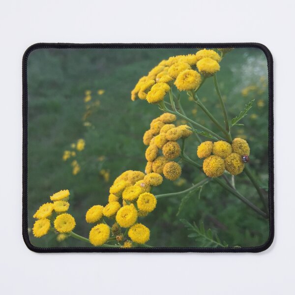 Item preview, Tansy Days and Ladybug Friends designed and sold by TrilliumDesign.