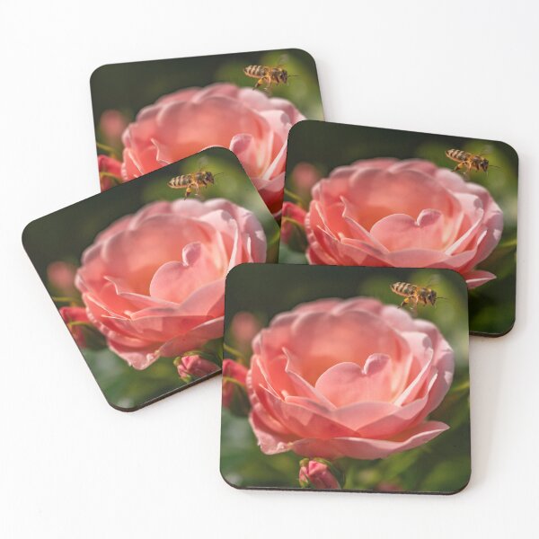 Item preview, Bee approaching an English rose designed and sold by Ingo Gerlach.