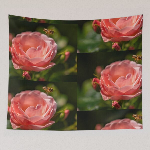 Item preview, Bee approaching an English rose designed and sold by Ingo Gerlach.